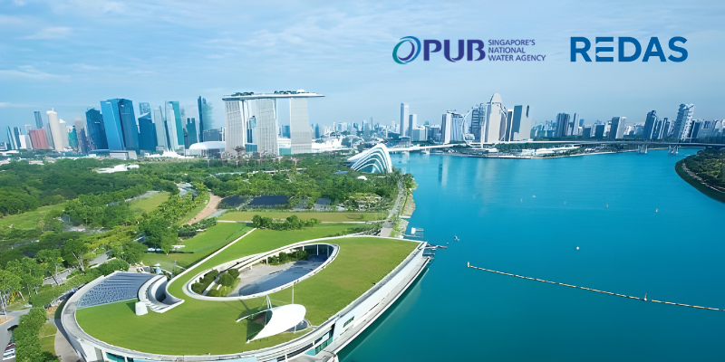 PUB Online Clinic for REDAS Members